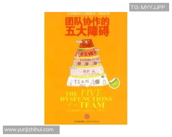 深圳足球队灵活性变革引发热议探索新战术与团队协作的未来之路